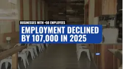 Businesses with fewer than 50 employees decline in 2025