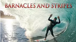 Barnacles and Stripes