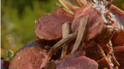Saucy Contest