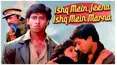 ISHQ MEIN JEENA