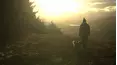 Walks With My Dog