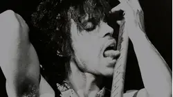 Prince: When Doves Cry