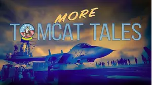 More Tomcat Tales
