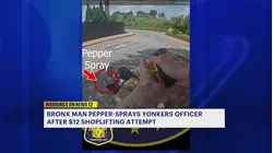 Bronx man pepper sprays officer after $12 shoplifting attempt