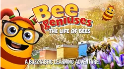 Bee Geniuses: The Life of Bees