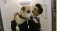 Dog Tales Rescue