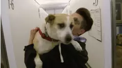 A New Leash on Life