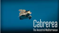 Cabrerea: The Ancestral Mediterranean