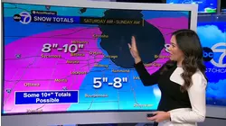 Chicago area under Winter Storm Warning, snowstorm to drop several inches of snow