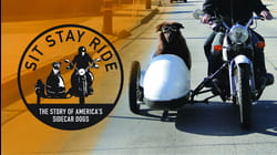 Sit Stay Ride: The Story Of America's Sidecar Dogs