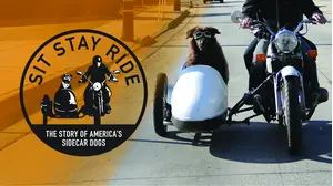 Sit Stay Ride: The Story Of America's Sidecar Dogs