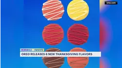 Turkey and stuffing Oreo? New holiday flavors hit the market.