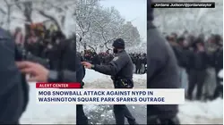 'Disgraceful and criminal:' Mob snowball attack against NYPD in Washington Square Park sparks outrage