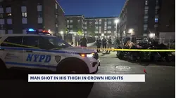 Man shot in Crown Heights near NYCHA complex