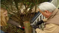 Today's Homeowner with Danny Lipford