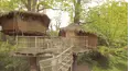 Green Tourism