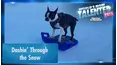 World's Most Talented Pets