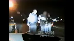 World's Wildest Police Videos
