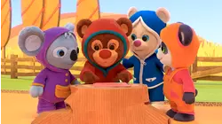 Book Hungry Bears