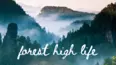 Forest High Life
