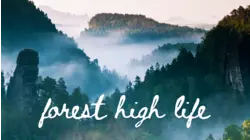 Forest High Life