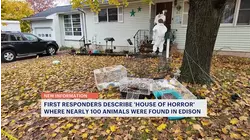 Dozens of animals found in horrific conditions at Edison home
