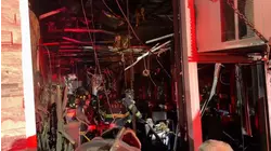 More than 20 pet birds killed in barbershop fire in Valley Stream