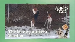 Judgy Cat | The Meowgnificent Verdict