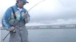 Renegade Bass Tour E6 "2019 Classic - Day 1" (2020)