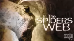 In The Spider's Web