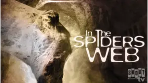 In The Spider's Web