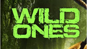 Wild Ones