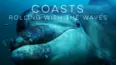 Coasts - Rolling with the Waves
