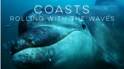 Coasts - Rolling with the Waves