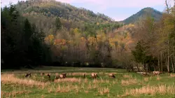 Great Smokies (1934)