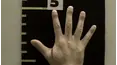 Exhibit A: Secrets of Forensic Science