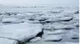 Captured: Extreme Weather
