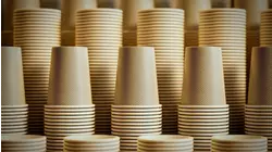 The Disposable Cup