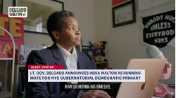 Lt. Gov. Delgado announces running mate for Democratic primary