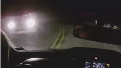 Flying Cryptid and More