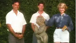 Fiestaware, Grilling with Herbs