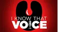 I Know That Voice