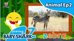 Learn ABC with Baby Shark Animal Ep2