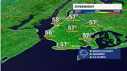 Rain ramps up overnight in Brooklyn