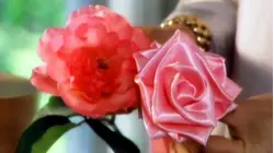 Ribbons and Bows, Peter Rabbit Garden Cake