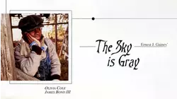 The Sky is Gray