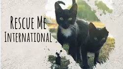 Rescue Me: International (2020)