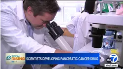 Local nonprofit's seed grants are fueling pancreatic cancer research at UCLA