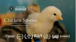 Chicken Stories