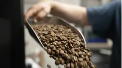 Made in the Bronx: Bronx Roasting Company brings locally roasted coffee to City Island